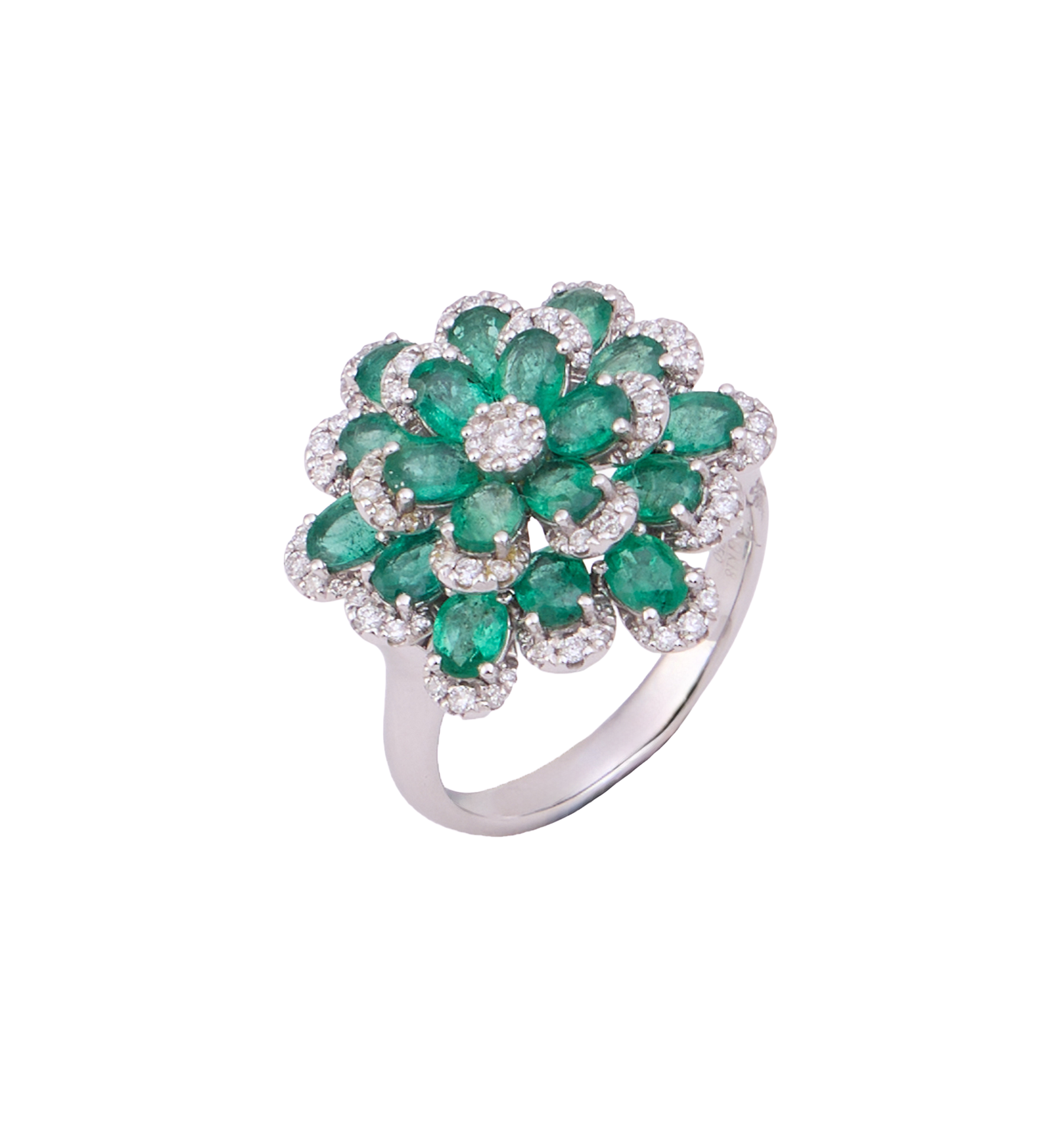 Ferini Ring 34